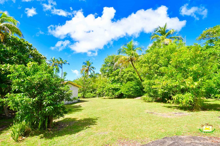 An other viewpoint of the island. The landscape is green where we can see some high coconut tree, other tropical fruit trees and a blue sky.